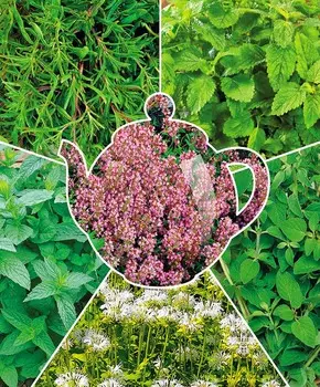 Набор для чая