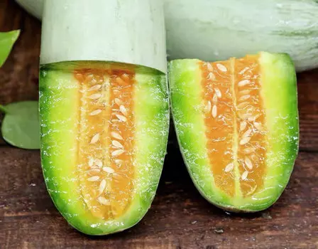 Огурдыня Мацарен F1