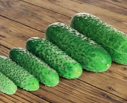 Огурец Лист F1