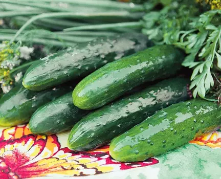 Огурец Парамон F1