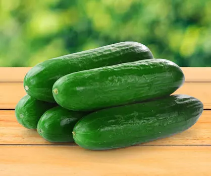 Огурец Пони F1