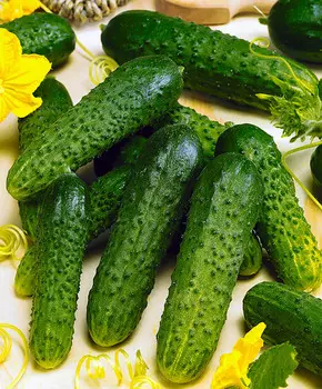 Огурец Седрик