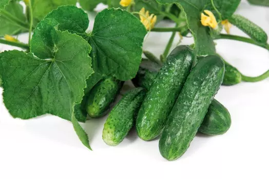 Огурец Велокс F1