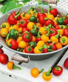 Перец острый Лукошко набор