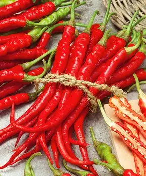 Перец острый Рокита