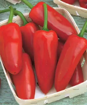 Перец сладкий Атос F1