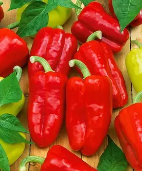 Перец сладкий Барби F1