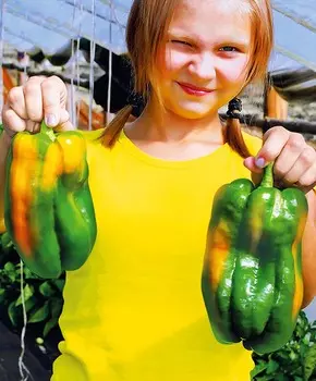 Перец сладкий Червонец F1