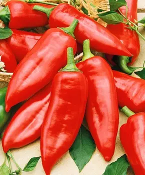 Перец сладкий Юпитер F1