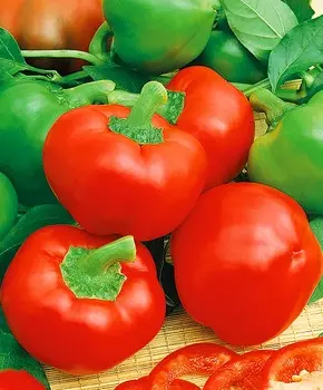 Перец сладкий Кипарис F1