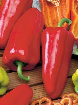 Перец сладкий Квикли