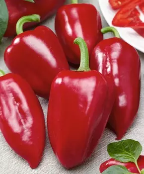 Перец сладкий Квинта F1