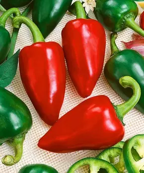 Перец сладкий Любовь F1