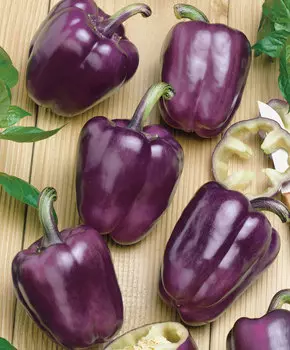 Перец сладкий Ода