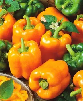 Перец сладкий Оранжевое чудо F1