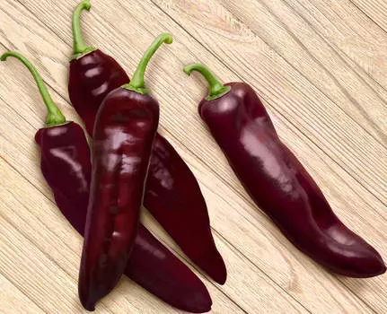 Перец сладкий Палермо шоколадный F1