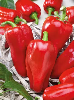 Перец сладкий Пламенный