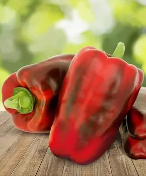 Перец сладкий Помпео F1