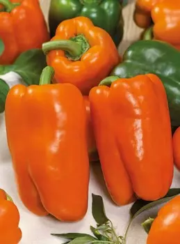 Перец сладкий Ревия