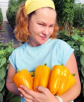 Перец сладкий Рубик F1