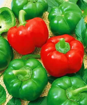 Перец сладкий Садовое кольцо