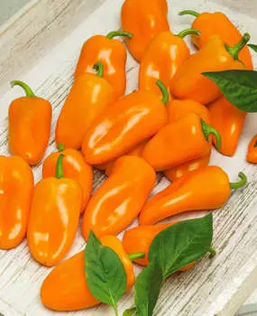 Перец сладкий Сладкий мой оранжевый F1