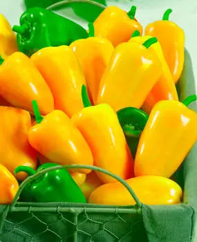 Перец сладкий Сладкий мой жёлтый F1