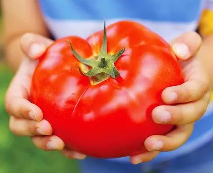 Помидор Биг Биф F1