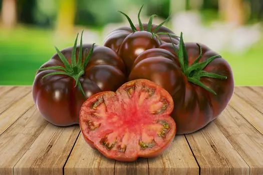 Помидор Браун Кой