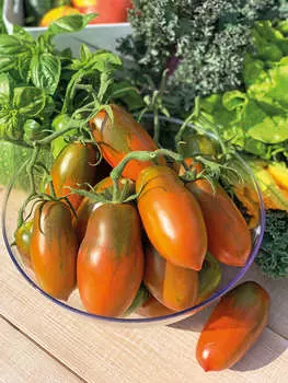 Помидор Булат