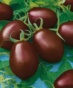 Помидор Де Барао чёрный