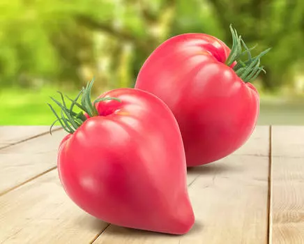 Помидор Котофей