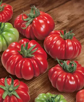 Помидор Риккиуто F1