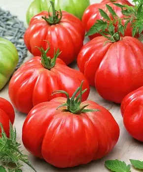 Помидор Роза Паво F1