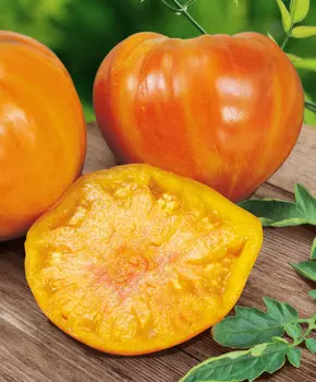 Помидор Сладкий янтарь