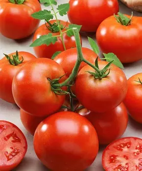 Помидор Зефир F1