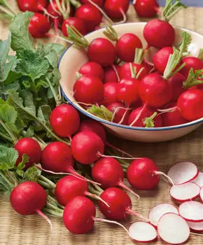 Редис Эскала F1