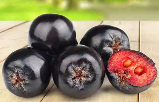 Рябина Черноплодная Арония