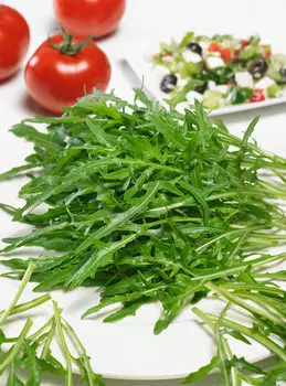 Руккола Гайя