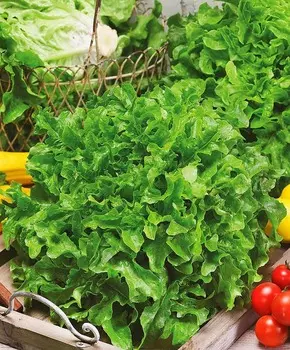 Салат Изумрудный