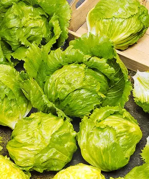 Салат Лагунас