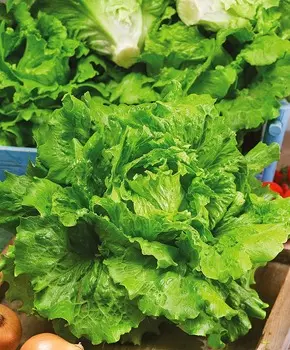 Салат Робинзон