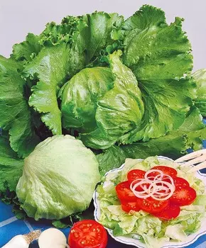 Салат Сантаринас