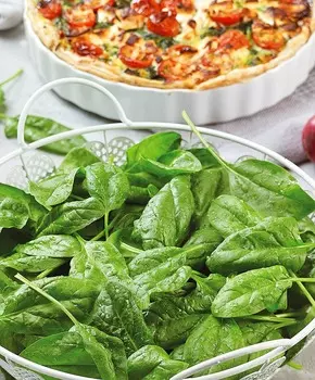 Шпинат Виктория