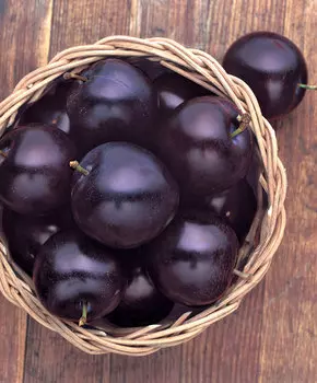 Слива Любинария