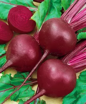 Свёкла Игл чудо F1