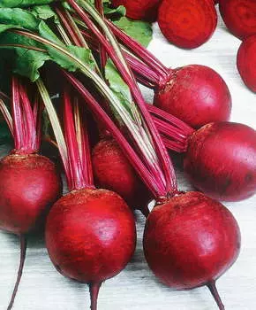 Свёкла Кестрел чудо F1