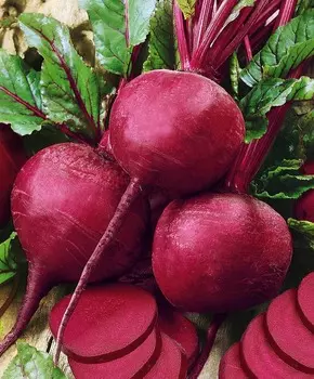 Свёкла Ларка чудо