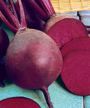 Свёкла Весёлая Смуглянка