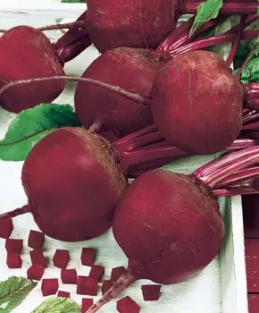 Свёкла Зарница F1